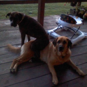 Friends