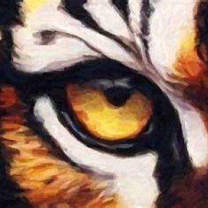 eye_of_the_tiger