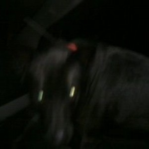 My copilote