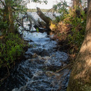 Jones Lake Outflow