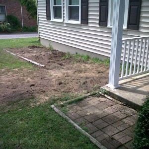 They dug up my azaleas! :pout: