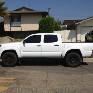 Tinted tails!