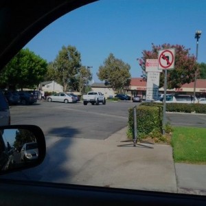In chino second picture of the white dc i snagged a pic of... SMALLZ~"