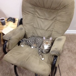 This is what happens when I get out of my chair lol every time.