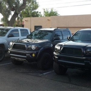 Trident Meet N Greet