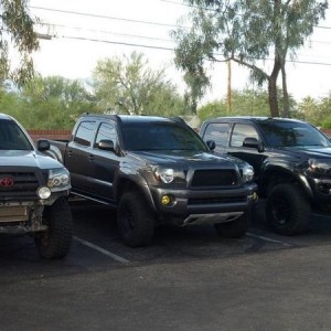 Trident Meet N Greet