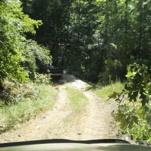 trail ridin with jodog