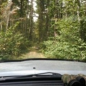 Doing alittle scouting