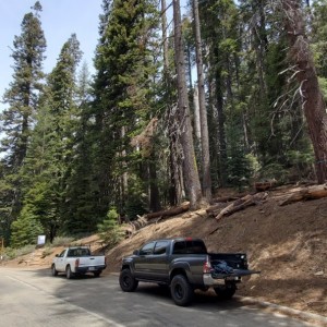 trailhead at Sequoia National Park