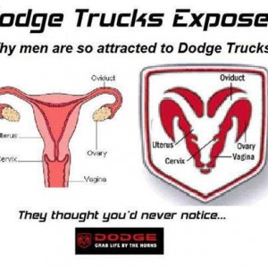 Dodge-Trucks-Exposed