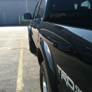 livewbZZV4