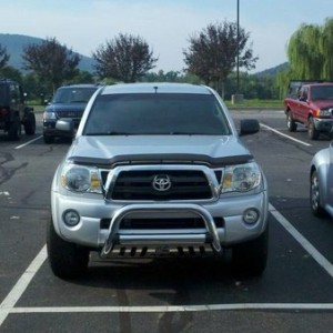 spotted!
