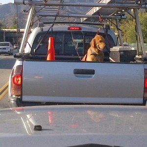 Woof
