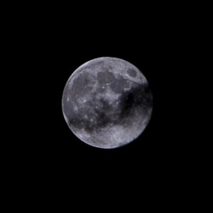 bluemoon