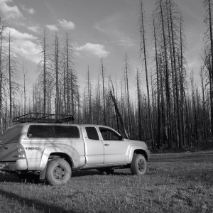 White mountains Arizona may 2012