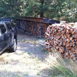 FAT Alder , Fir , and Madrone / Arbutus