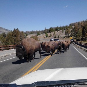 Traffic is terrible today