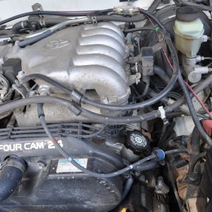 engine bay