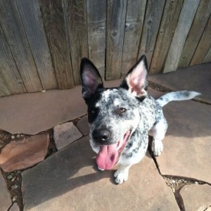 You guys remember Cooper? He's growing up!