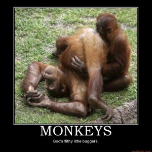 monkeys-monkeys-adult-hilarious-demotivational-poster-1211471457