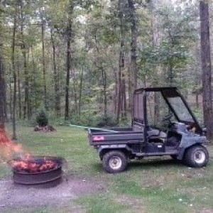 Doing a little fall clean up