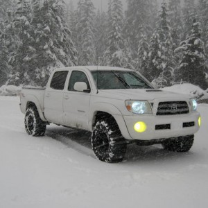 tacoma460