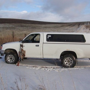 1993 T100 LB