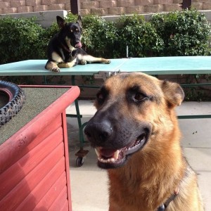 Derp in the back