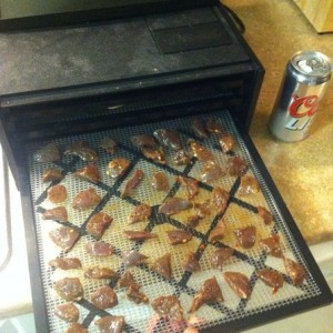 Dove jerky