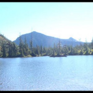 P9030733_copy