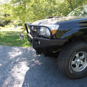 Ete_2012_381
