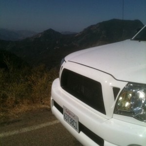 sequoia3