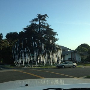 This house got hit bad! Hahaha