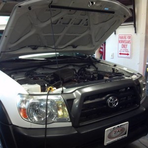 serpentine belt change