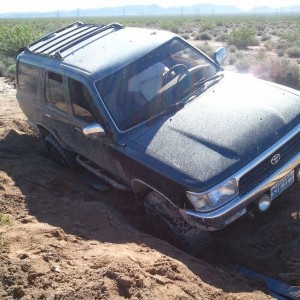 liveZj5fxp