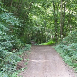 West Virginia
