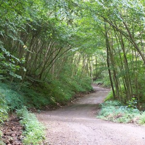 West Virginia