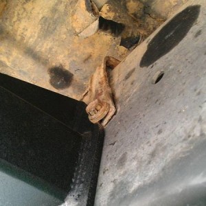 Hose Bracket