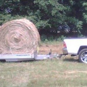 hay