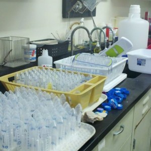 Dear biology 170 lab students of the University of Hawaii at Manoa: I have 