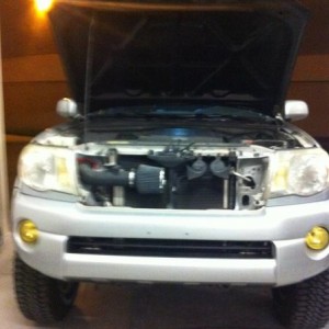 Bumper_17
