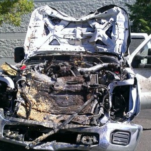 Hit a horse doing over 90mph