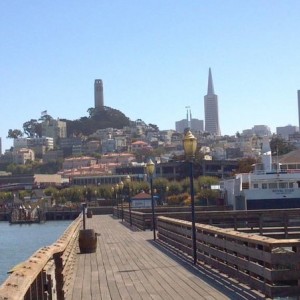 The city
