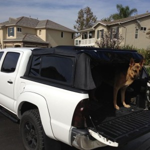 Finished the install today. Sarge likes it.