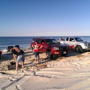Sandy Neck Beach - 2012-09-22