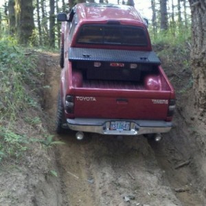wheelin