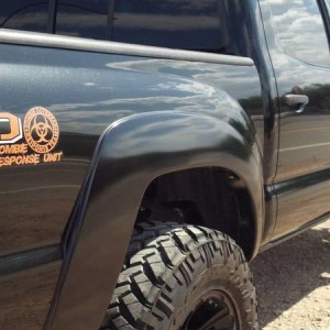 Raptor and moar pics!