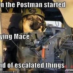 postman
