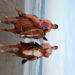 horses on the beach, SPI