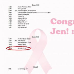 jlvhrse1478